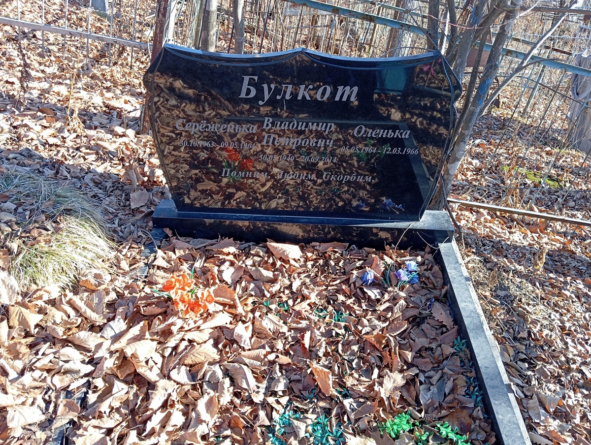 Булкот Владимир Петрович