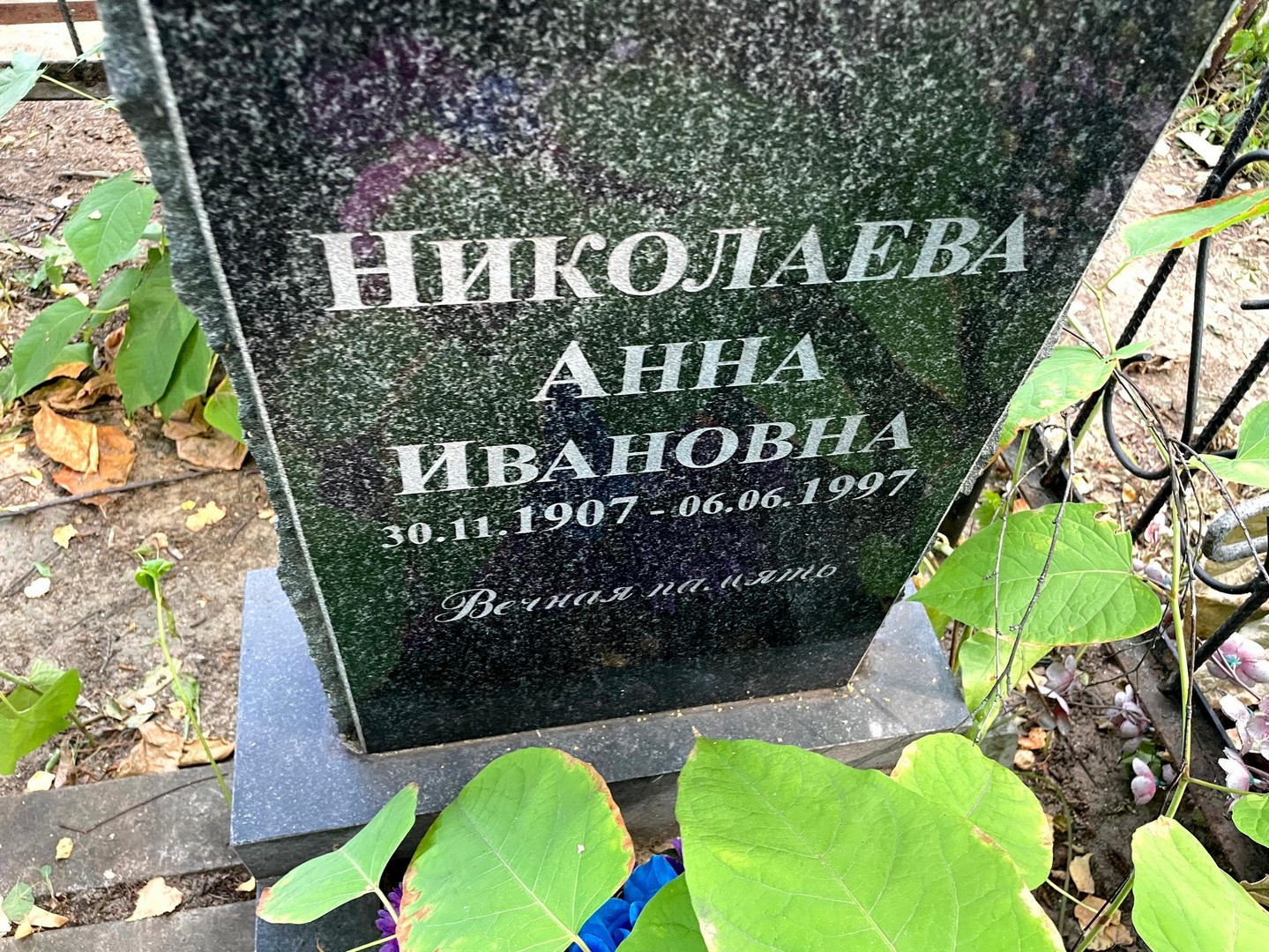 Николаева