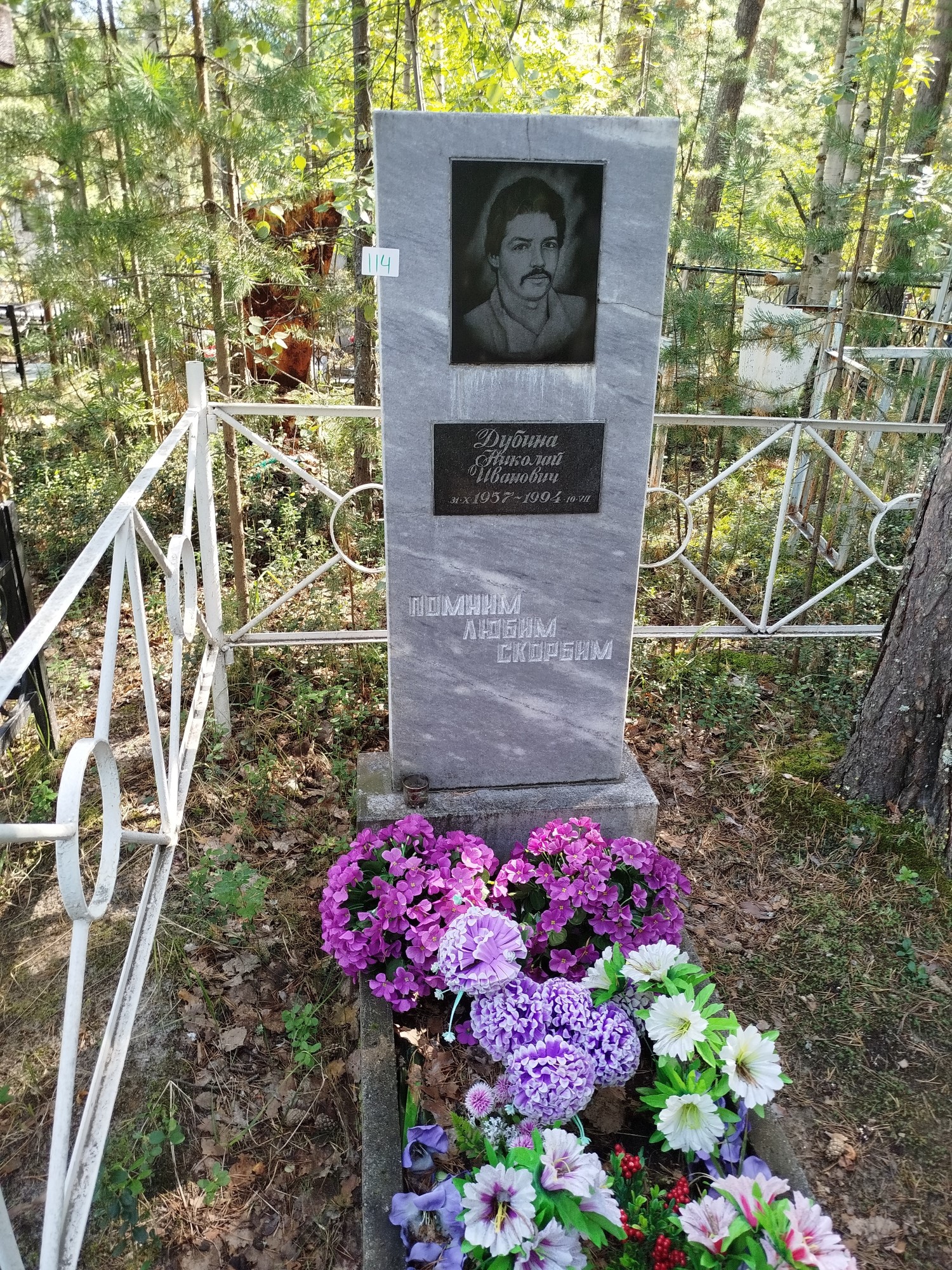 Дубина Николай Иванович