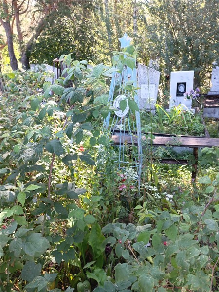 Андрианов Александр