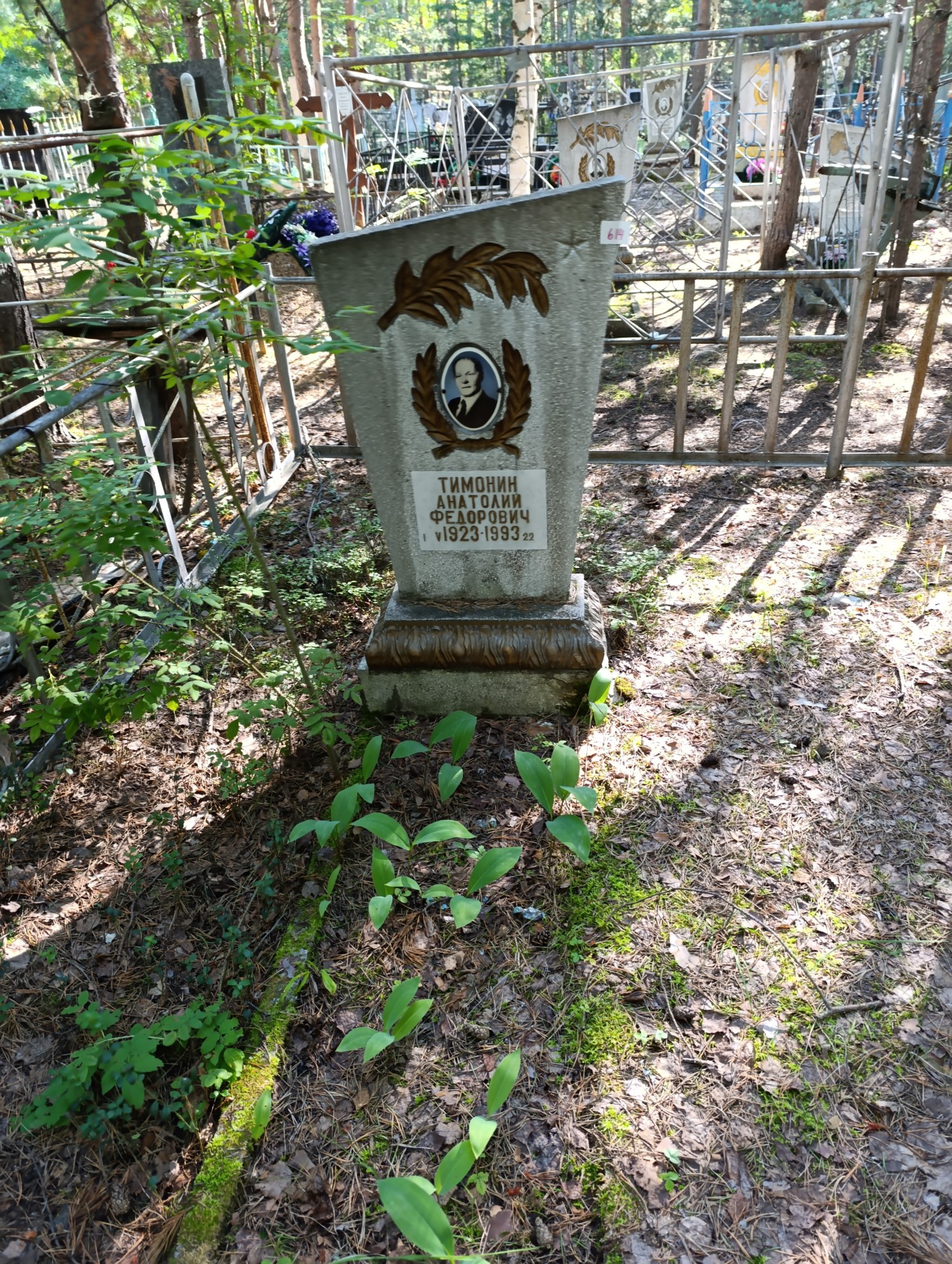 Тимонин Анатолий Федорович