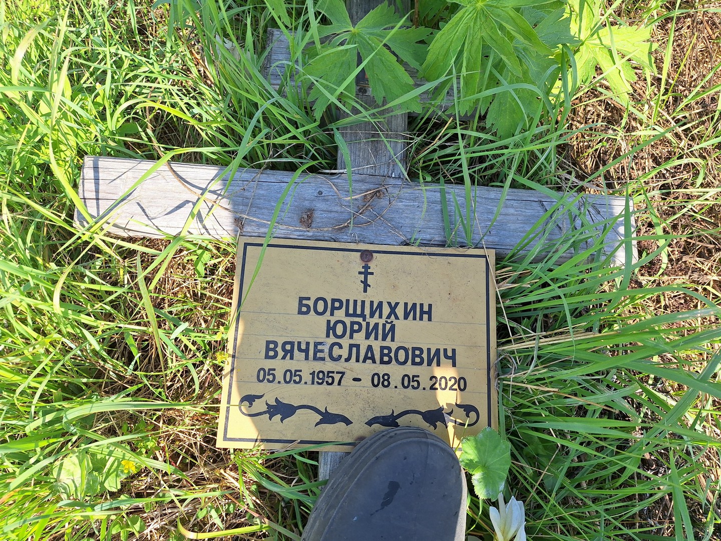 Борщихин
