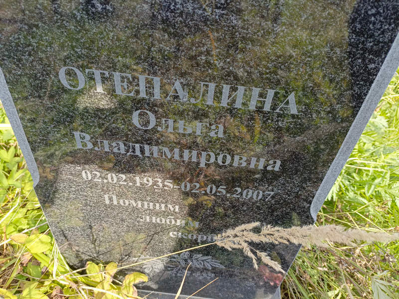 Отепалина