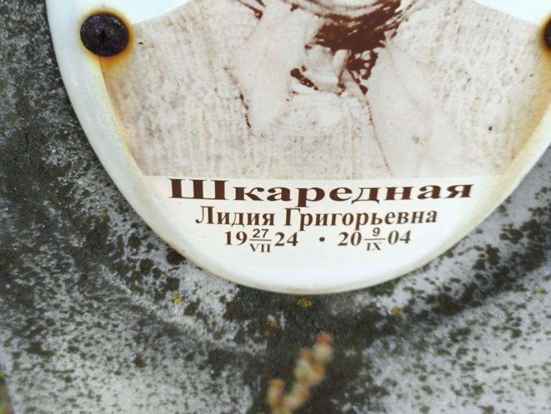 Шкаредная