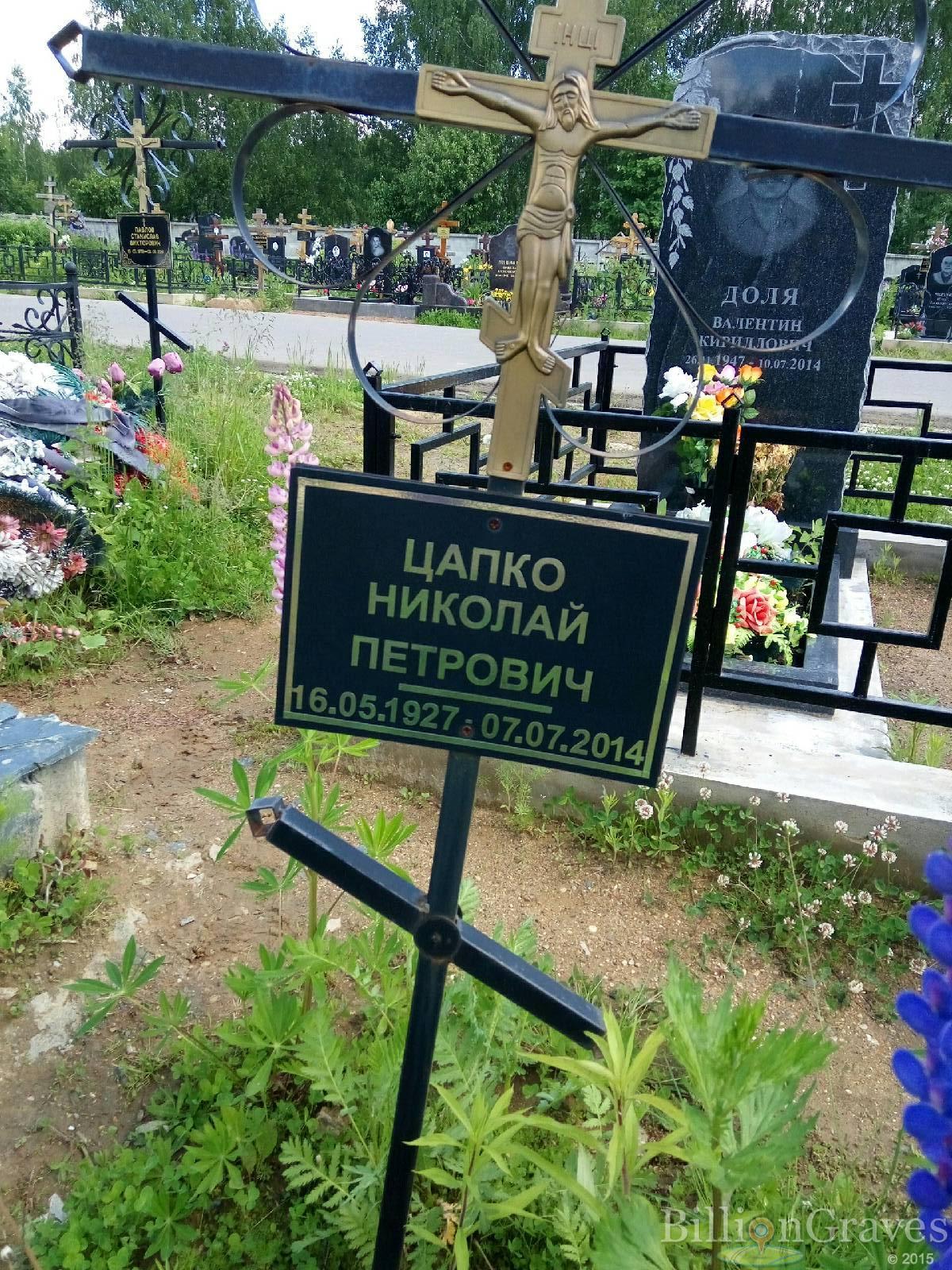 цапко николай петрович