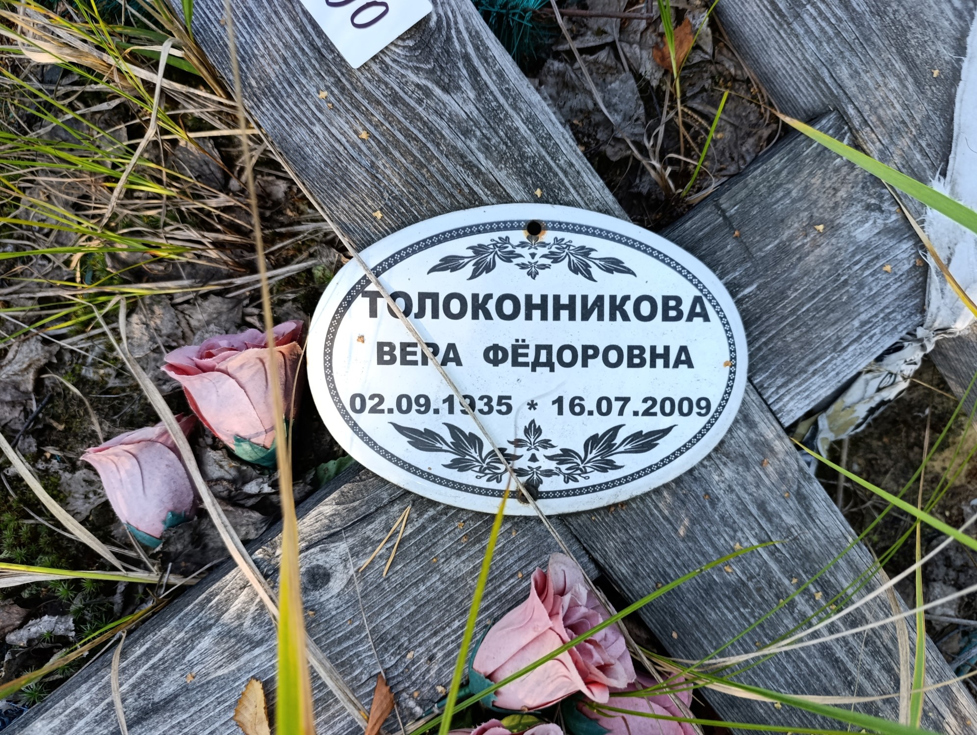 Толоконникова Вера Федоровна