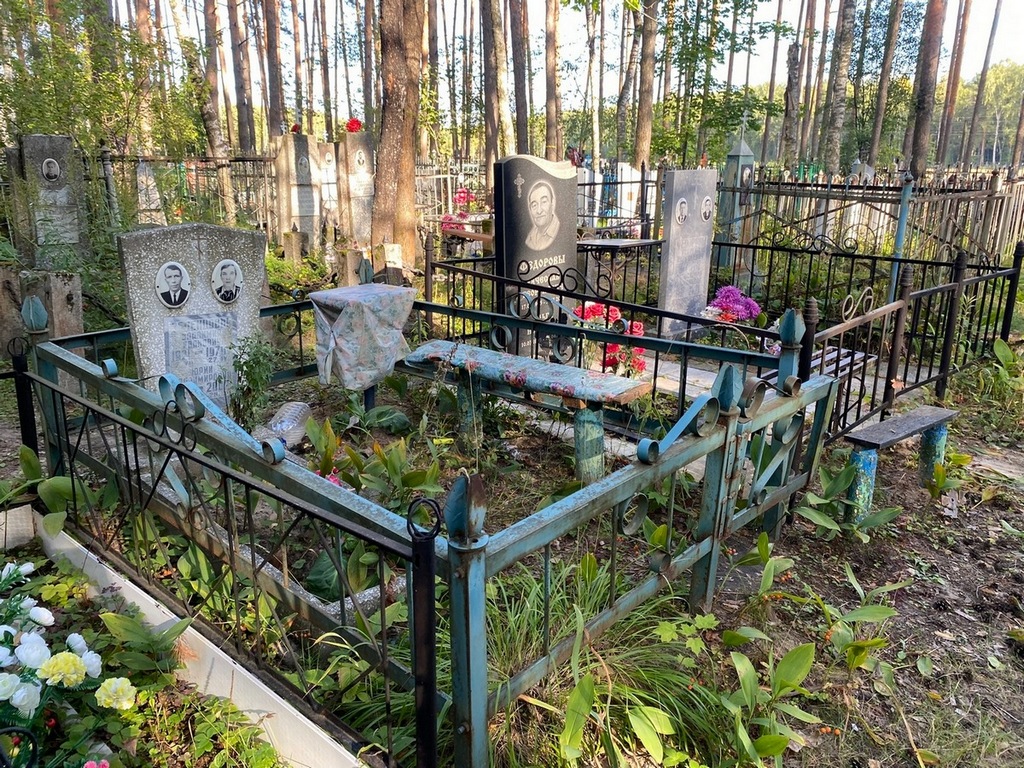 Зеленцов Владимир Иванович