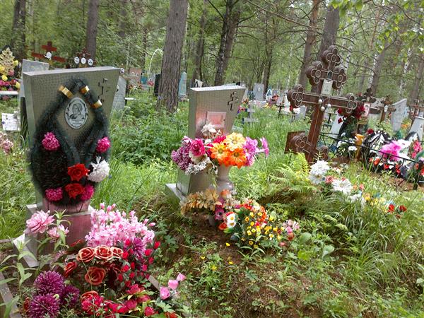 Чипуштанова Анна Александровна