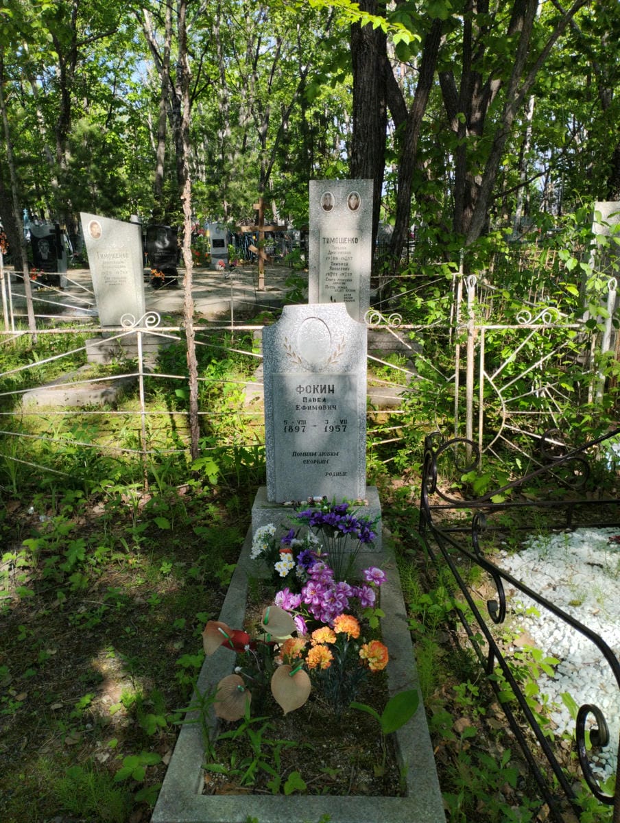 Фокин Павел Ефимович