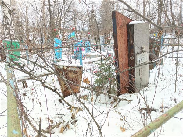Мишуринских Геннадий Григорьевич