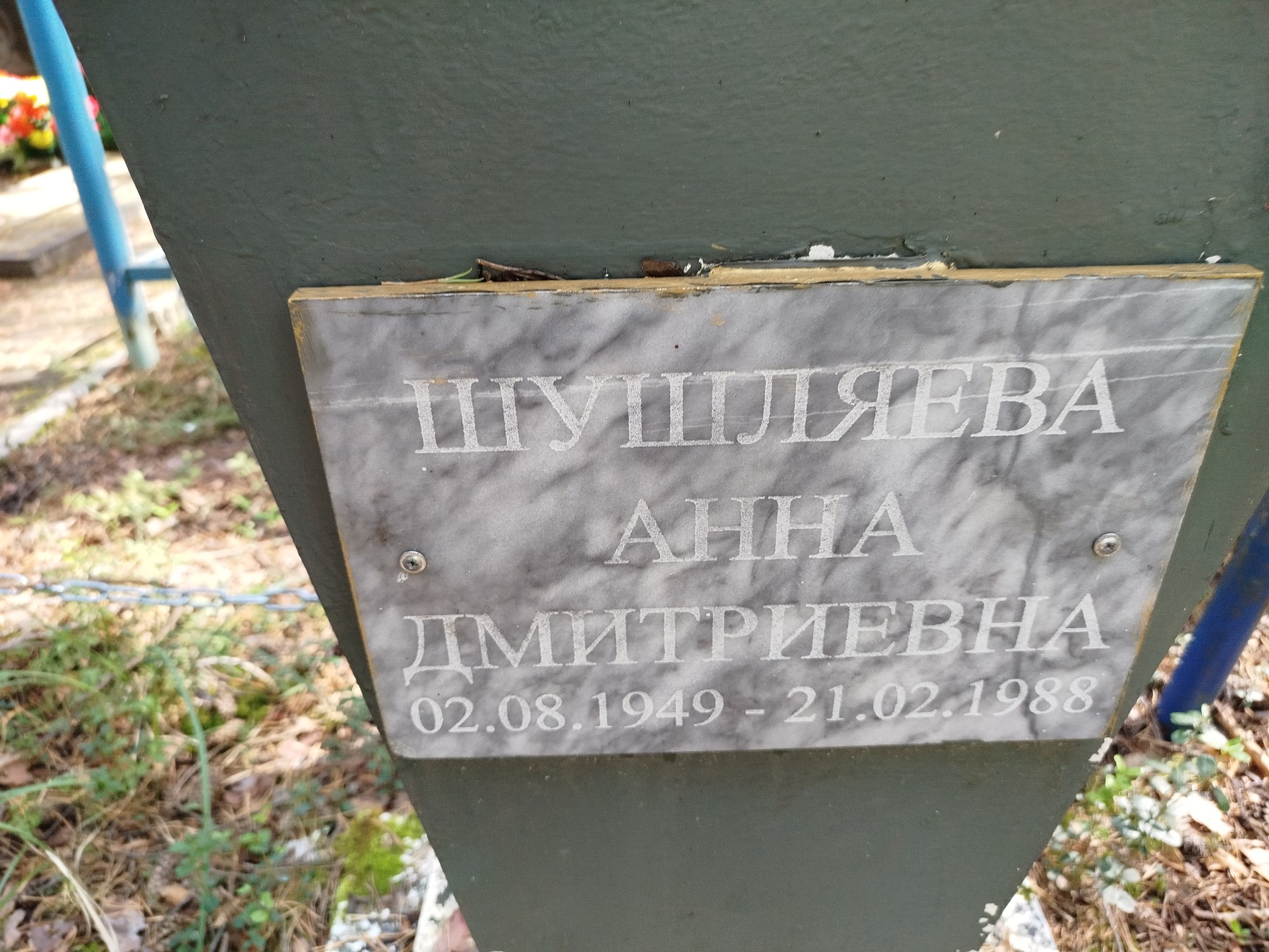 Шушляева Анна Дмитриевна
