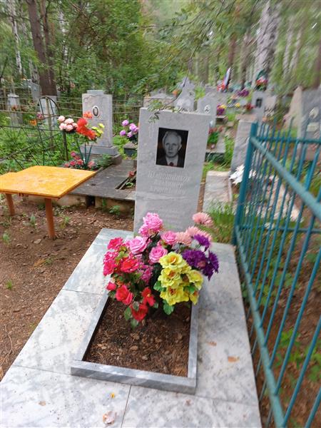 Шапошников Владимир Кронидович