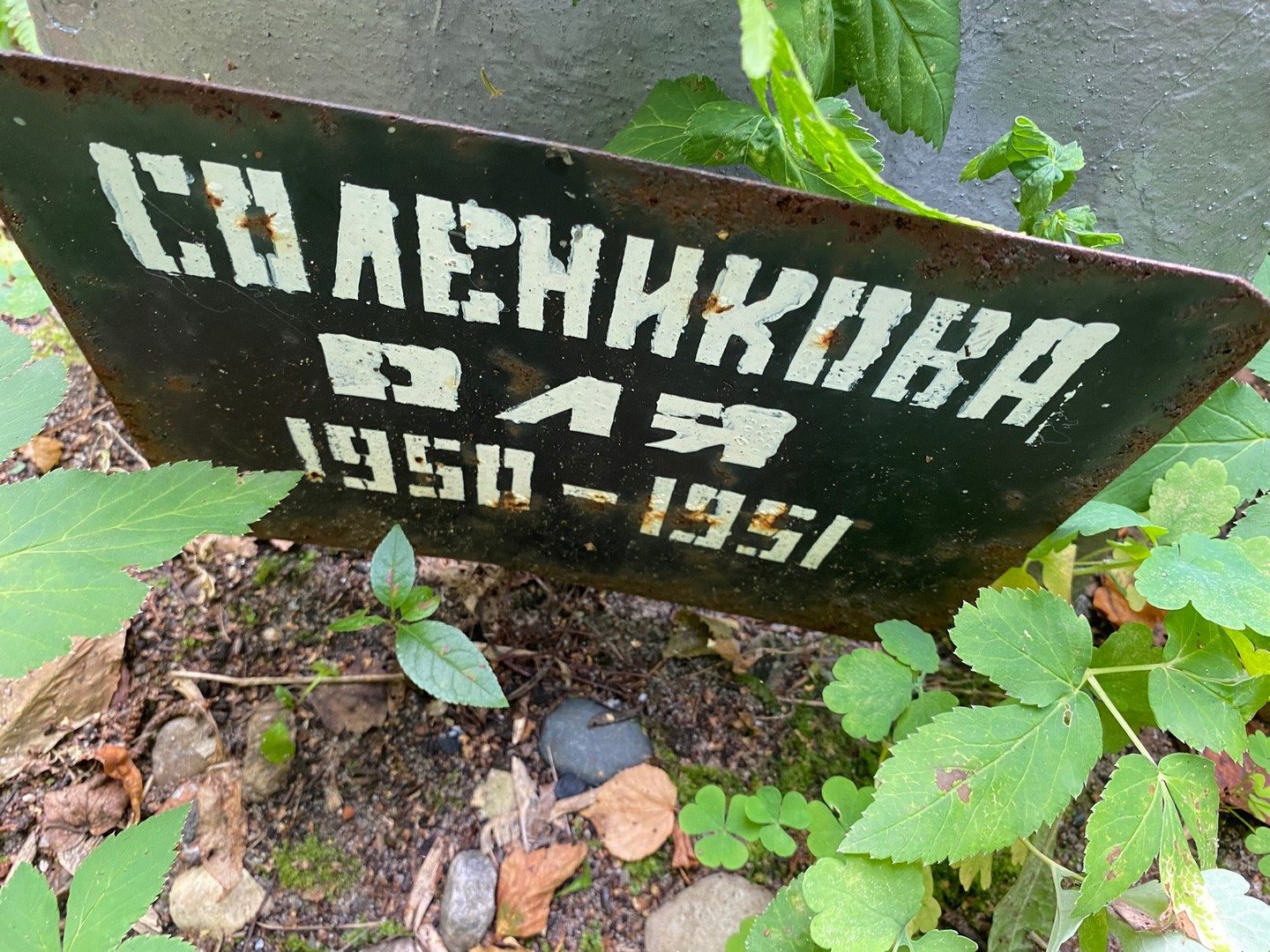 Соленикова Соленикова