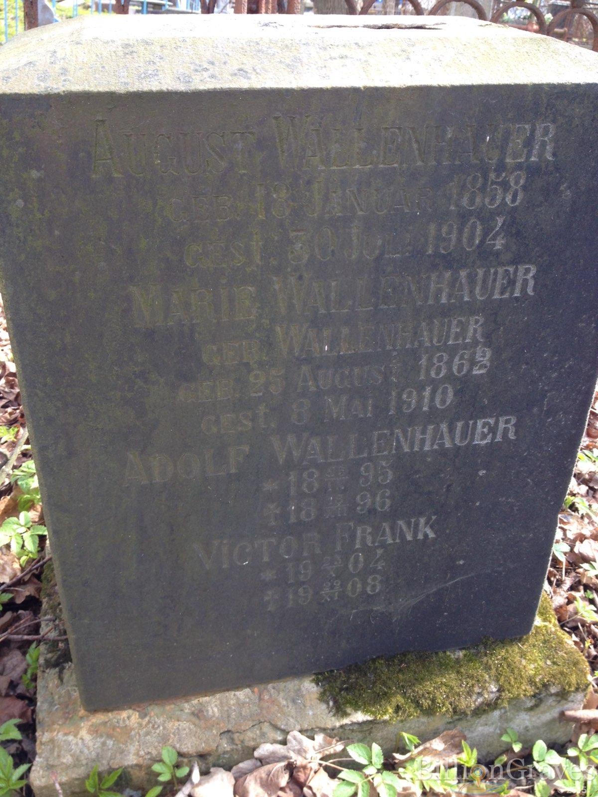 Wallenhauer August