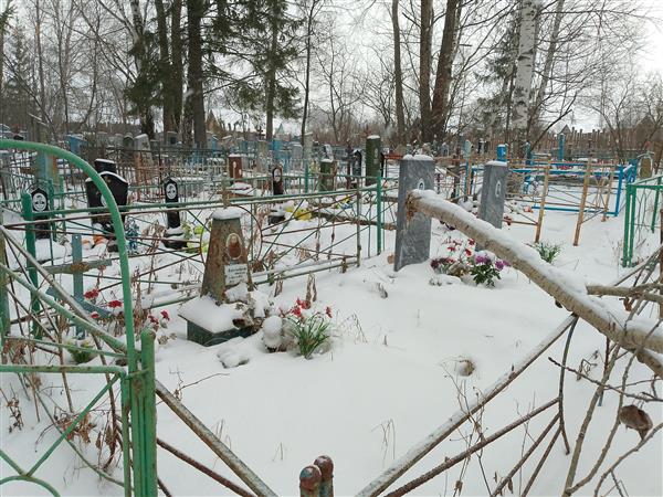 Будринова Александра Федоровна
