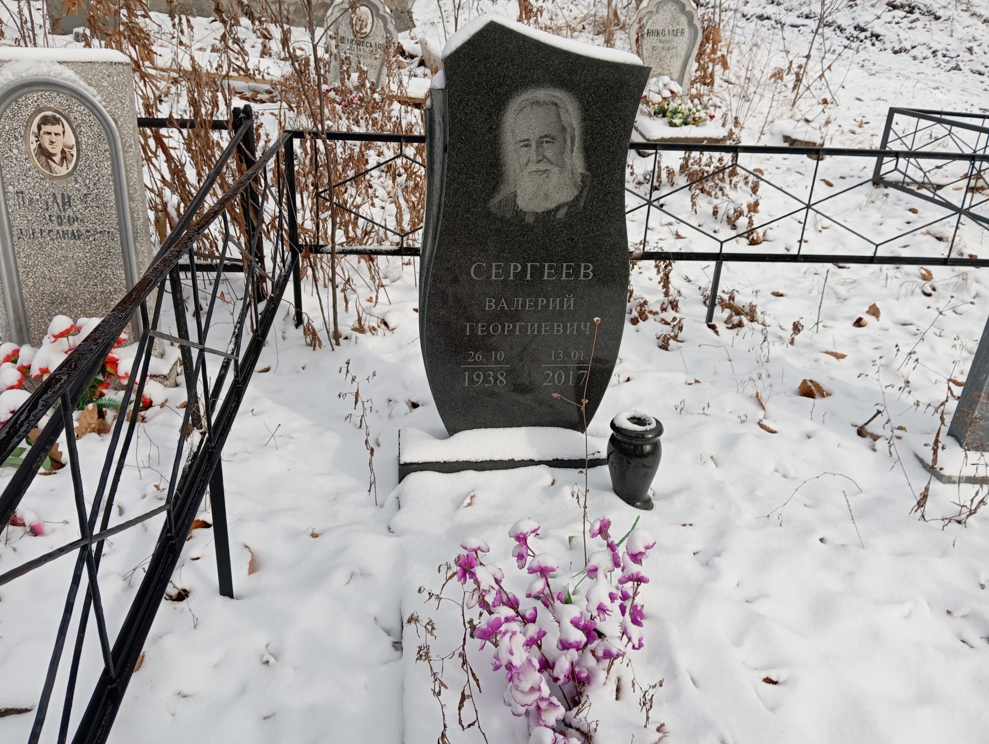 Сергеев Валерий Георгиевич