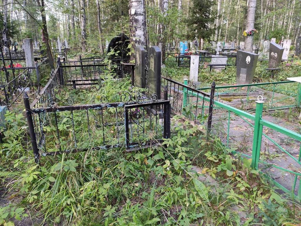 Кочнев Александр Васильевич