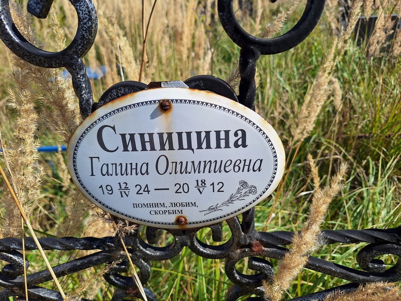 Синицина