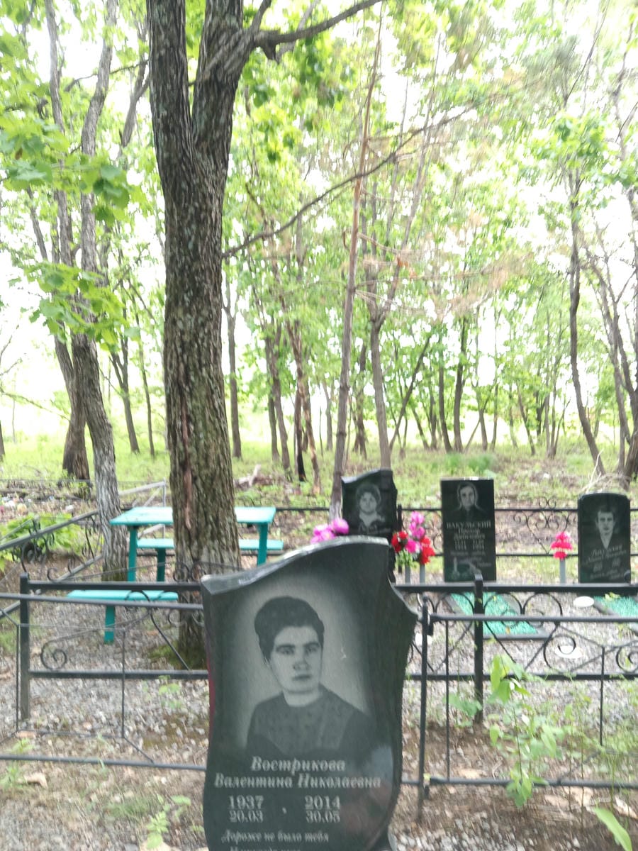Вострикова Валентина Николаевна