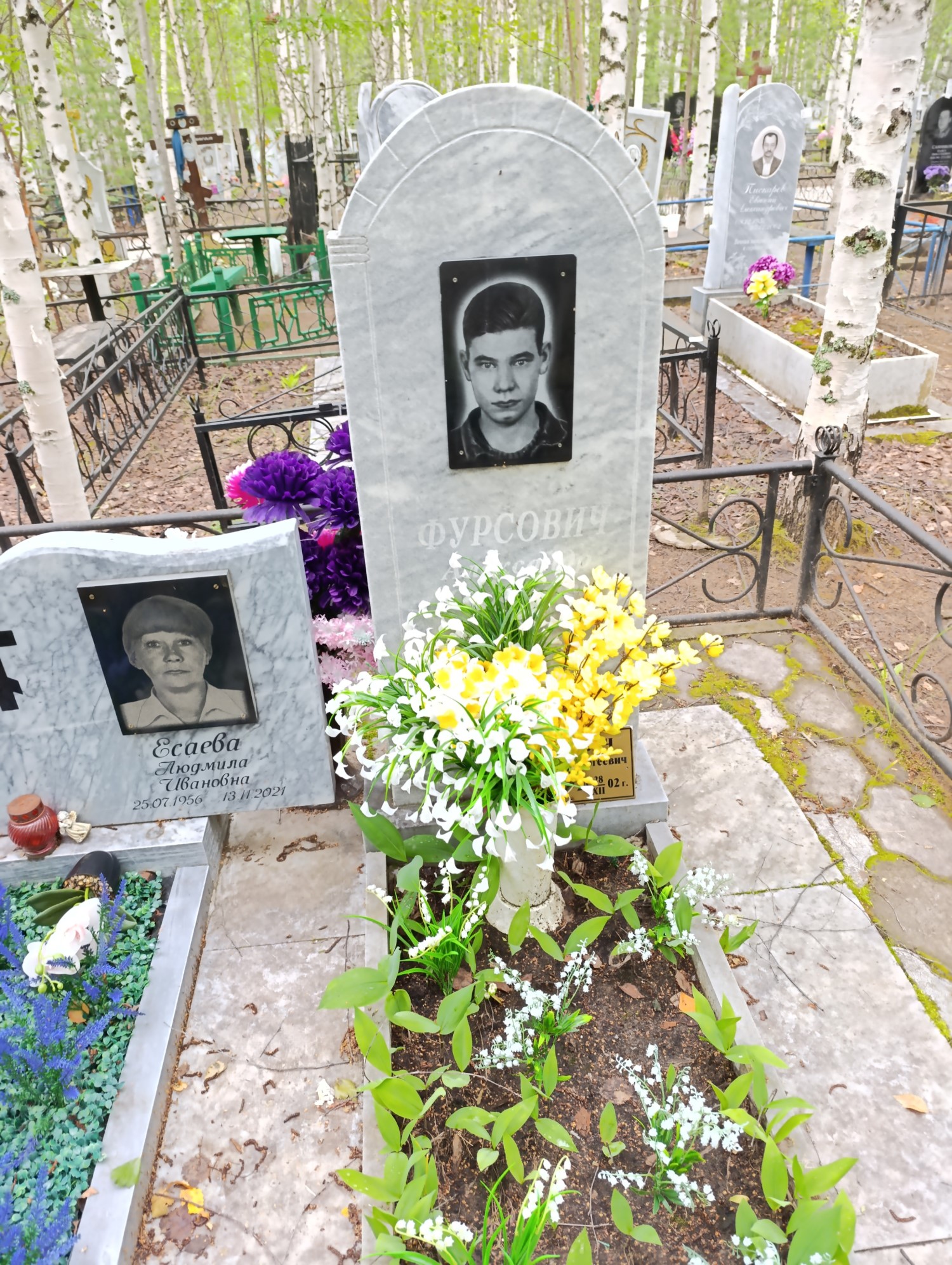 Фурсович Александр Сергеевич