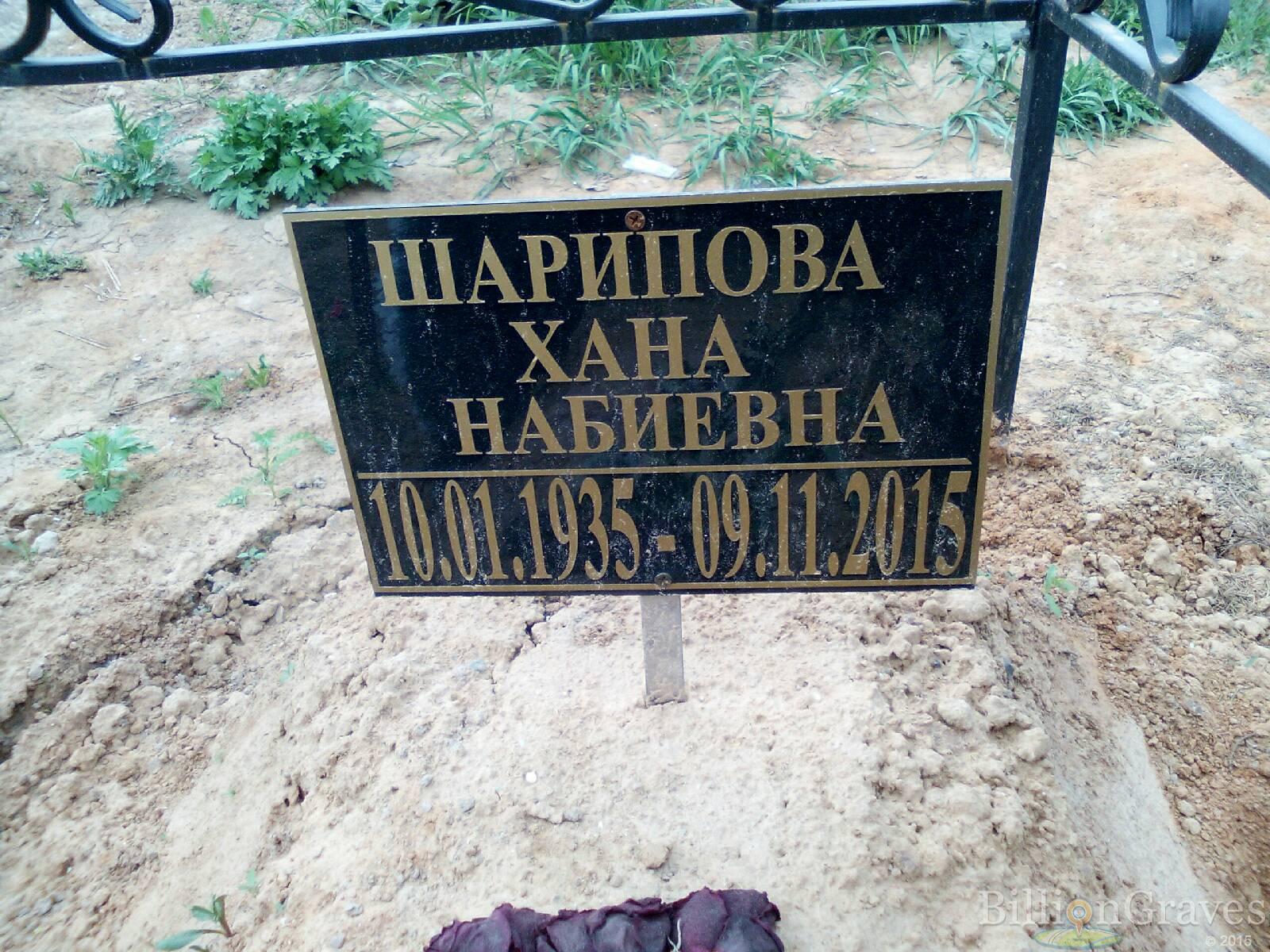 шарипова хана набиевна