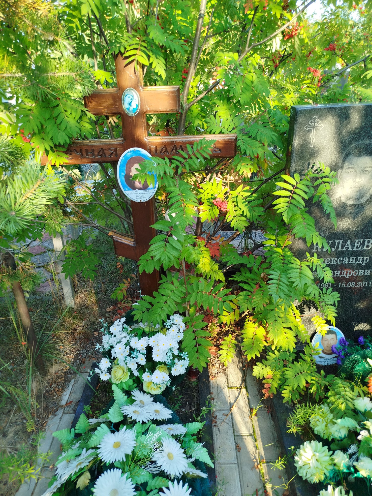 Дорошина Людмила Николаевна