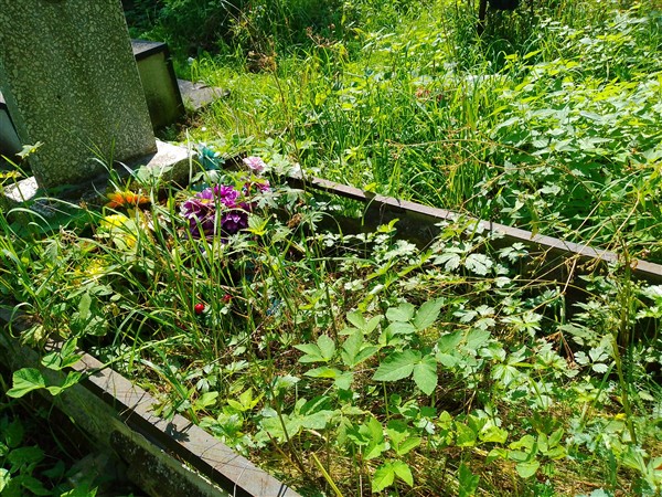 Паньшин Николай Романович
