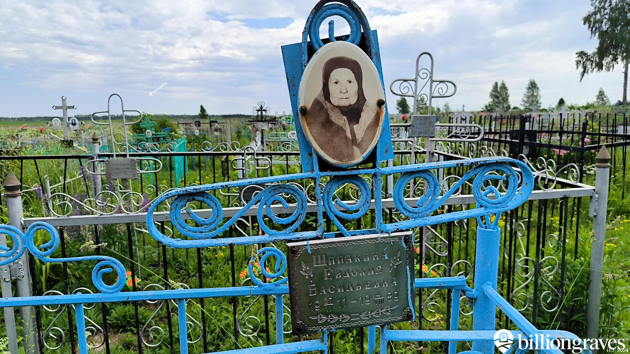Щипакина Анна Михайловна