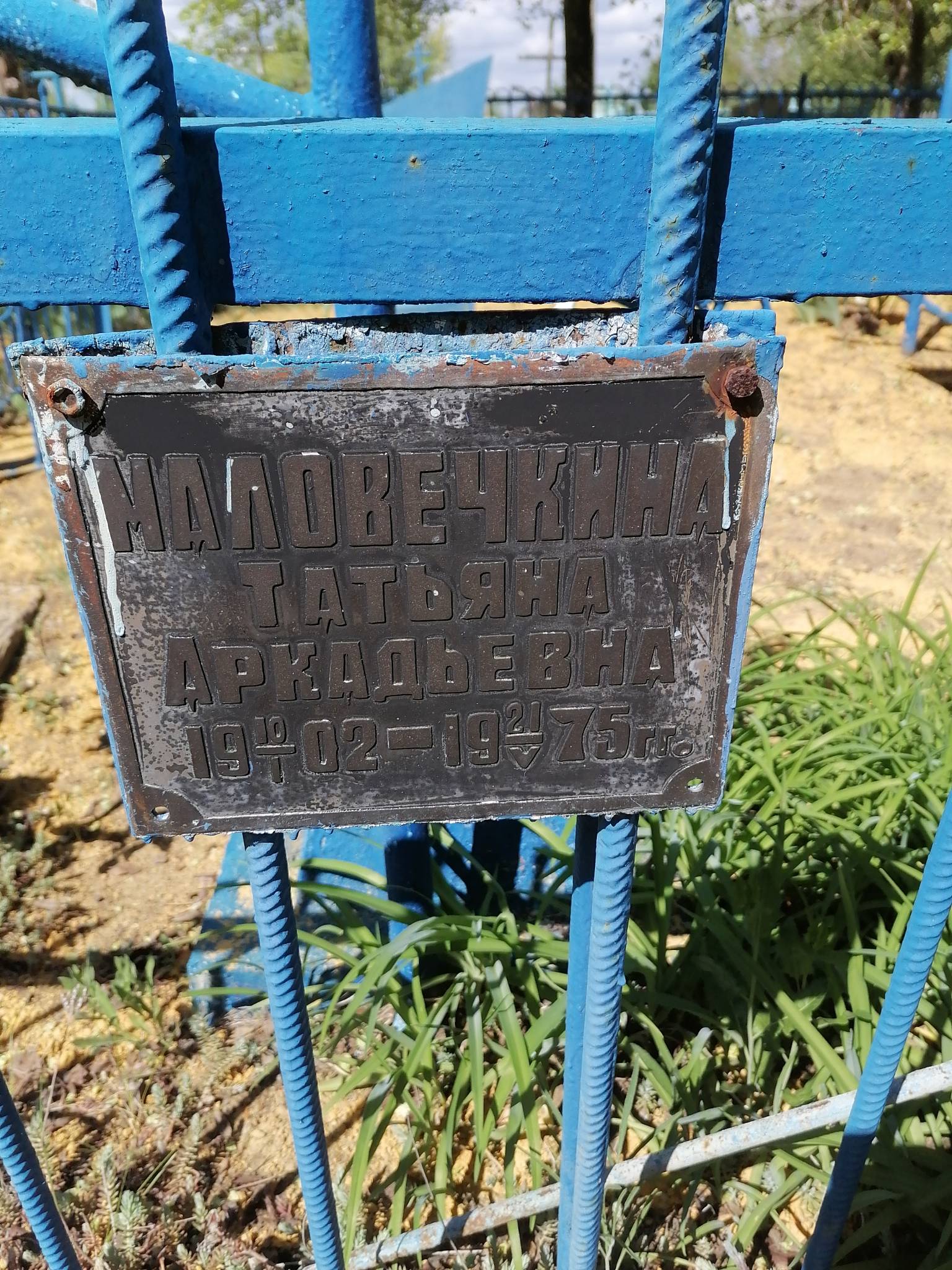 Маловечкина Татьяна Аркадьевна