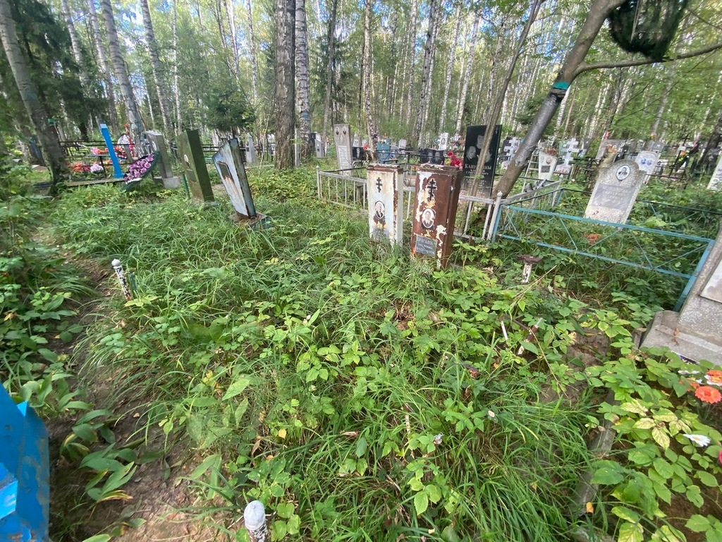 Дрягалова Анна Петровна