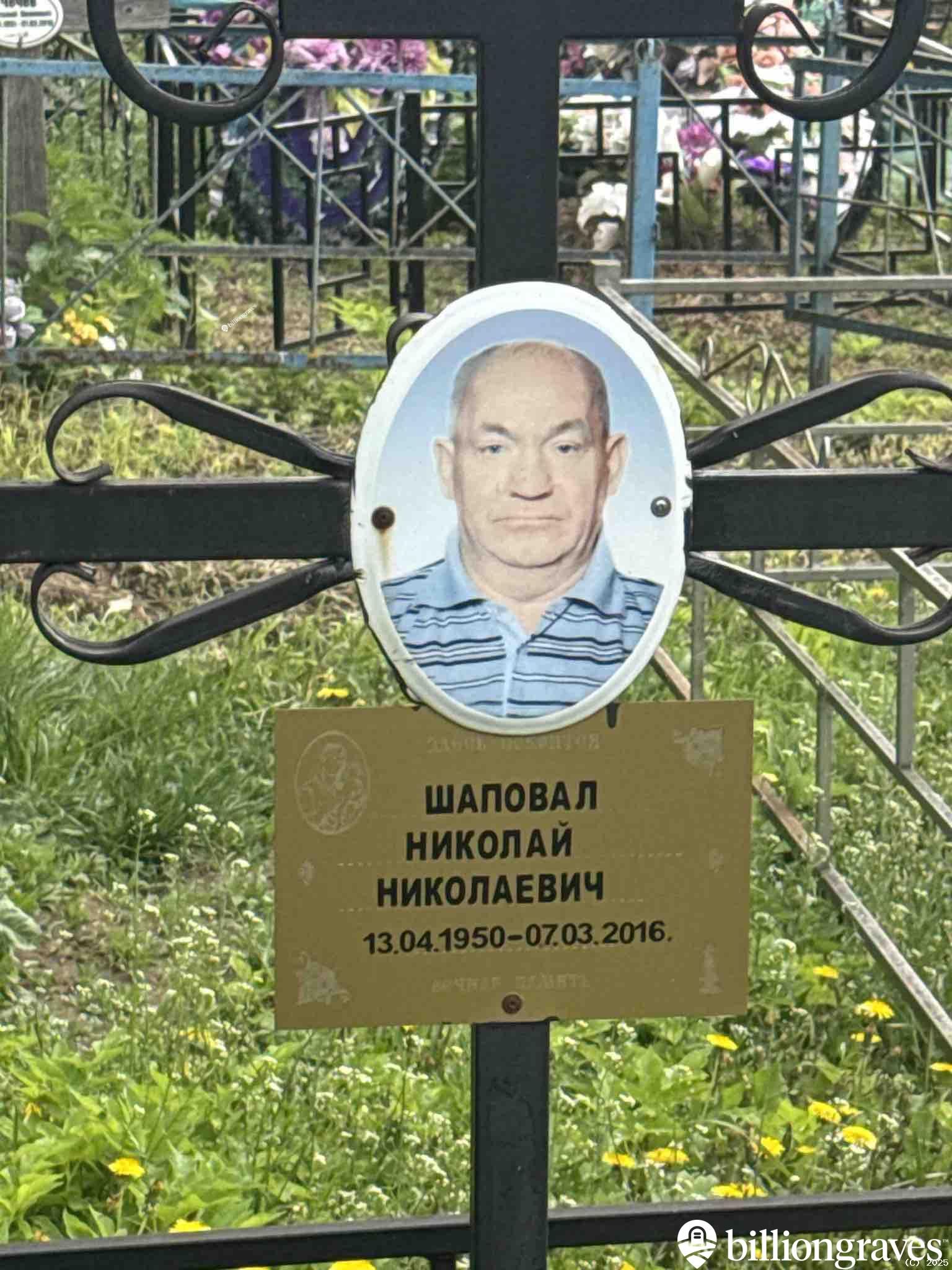 Шаповал Николай Николаевич