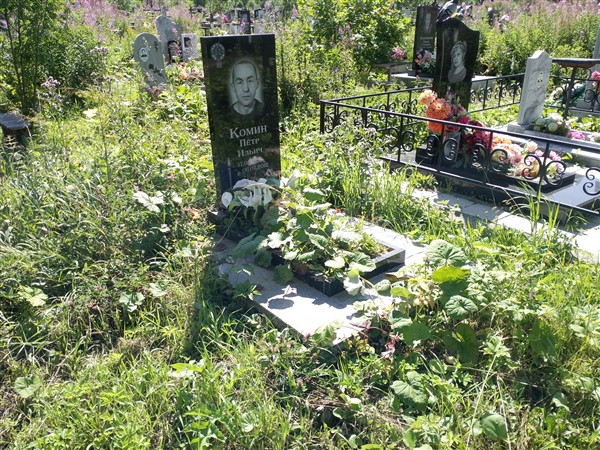 Комин Пётр Ильич