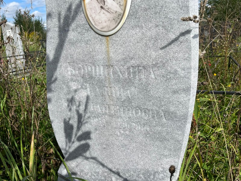Борщихина