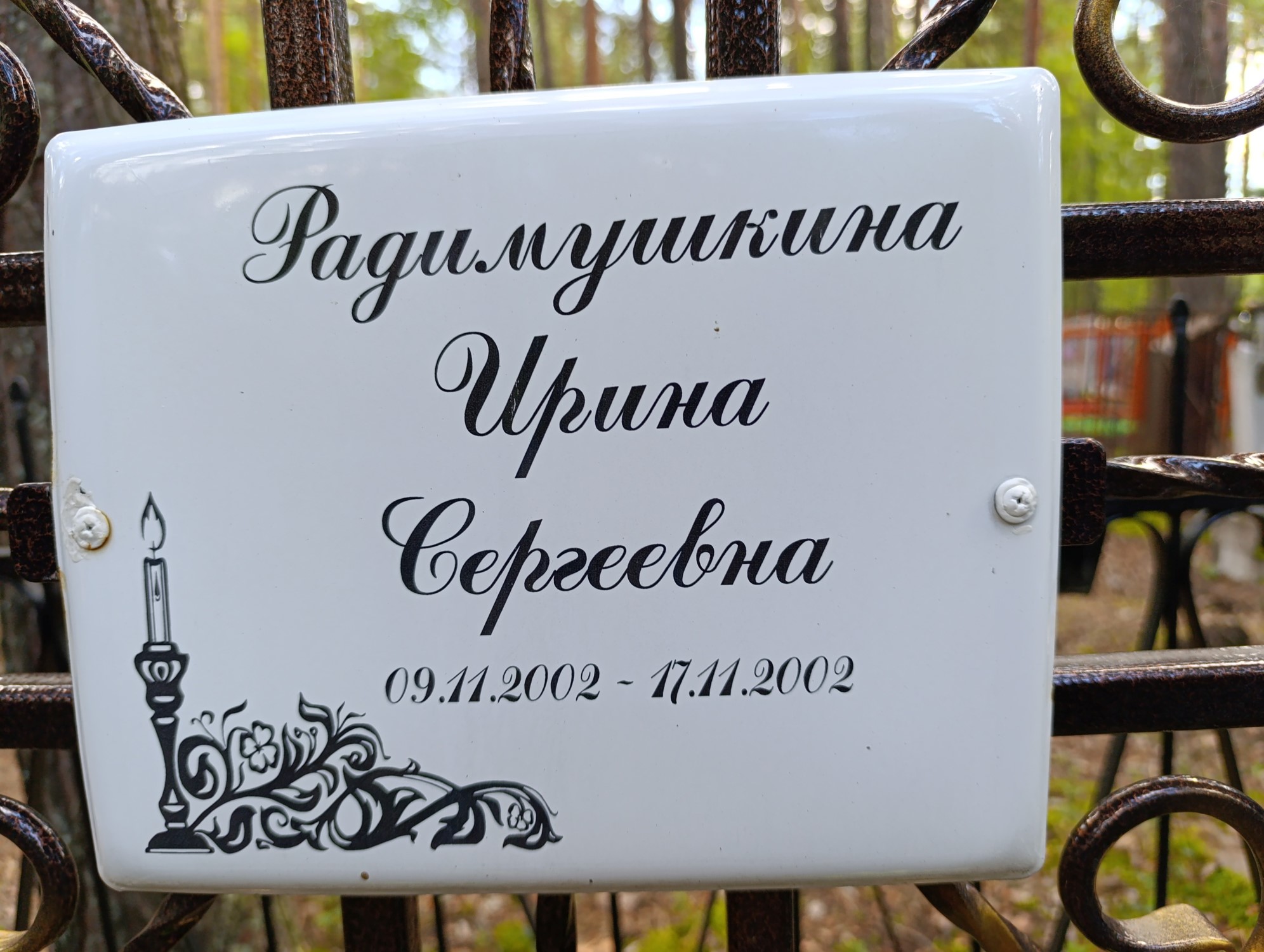 Радимушкина Ирина Сергеевна