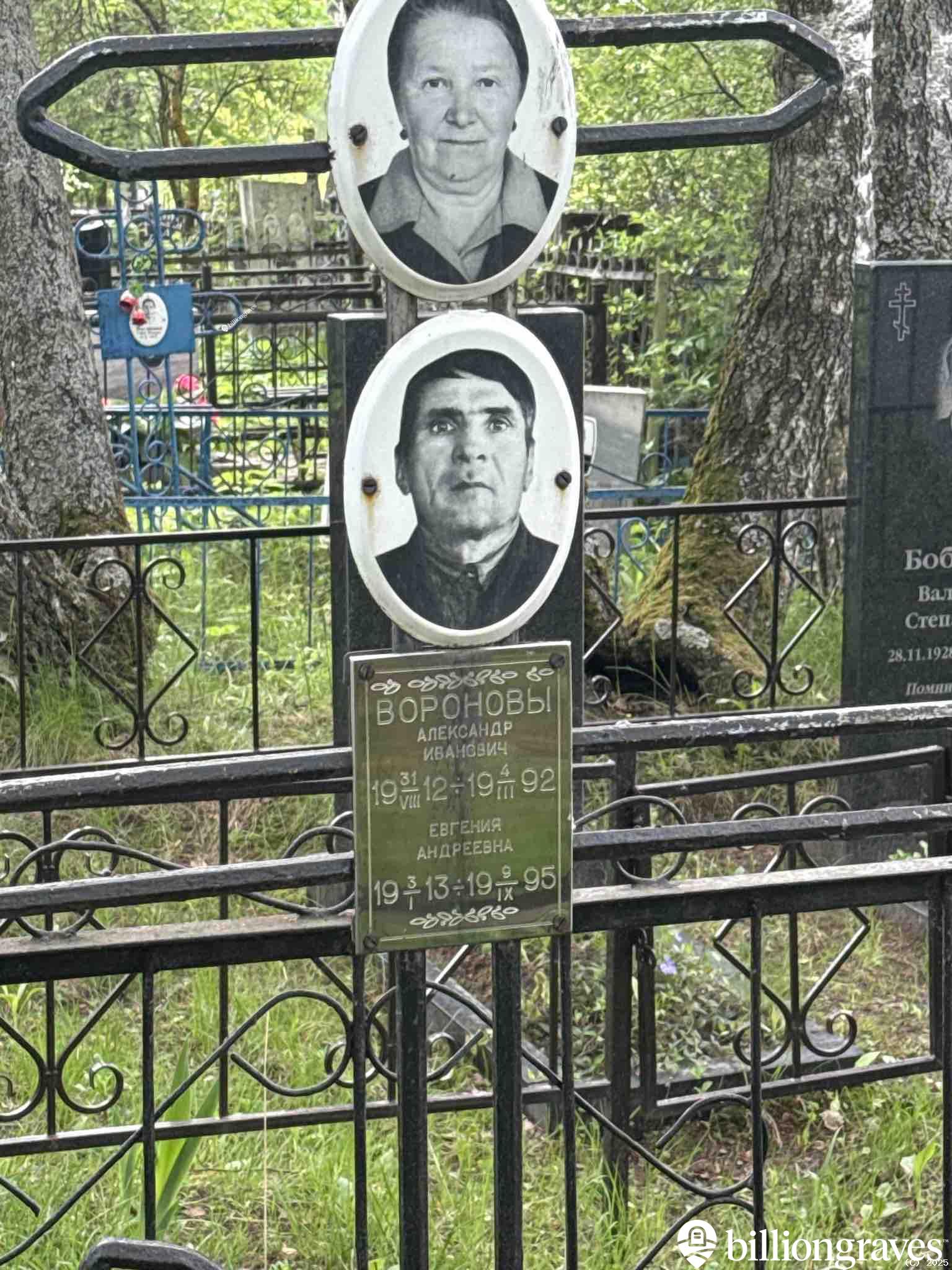 Воронов Александр Иванович
