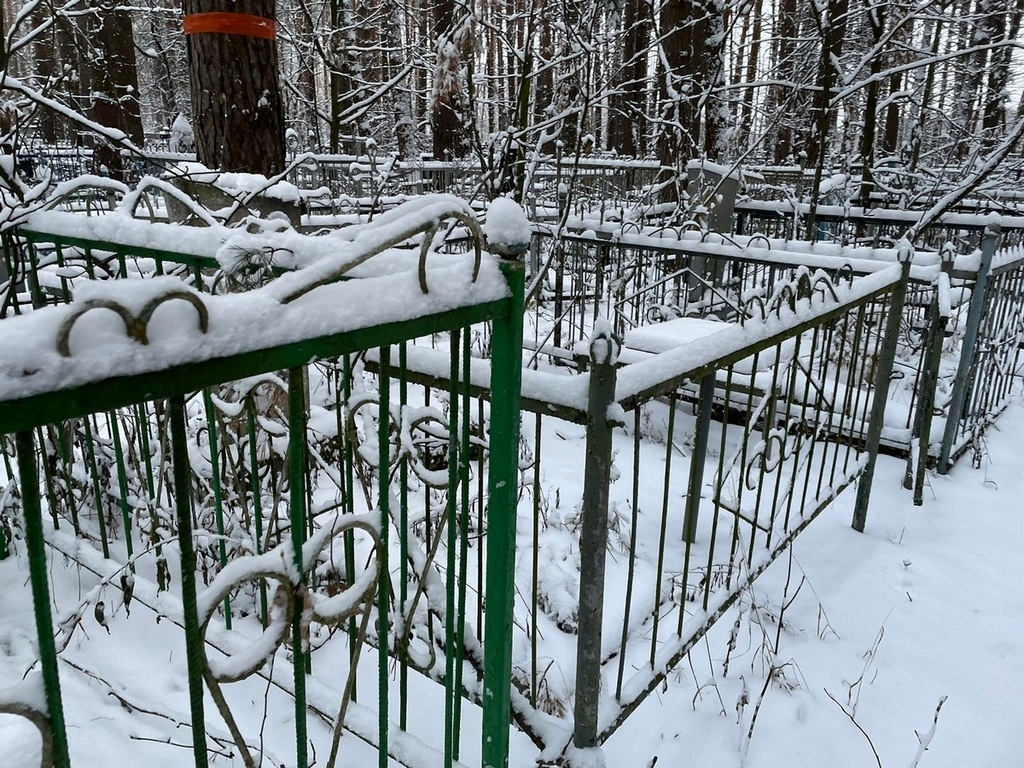 Подгорнов Алексей Михайлович