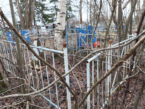 Новоструев Иван Трофимович