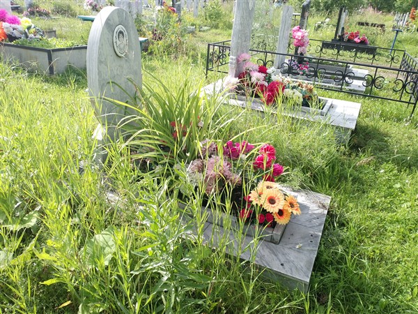 Дмитриева Любовь Анатольевна