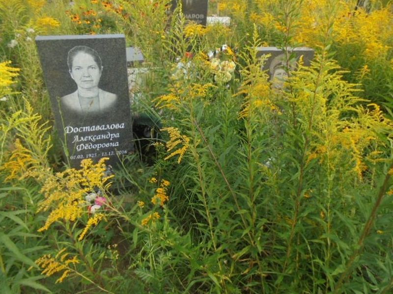 Доставалова Александра Федоровна