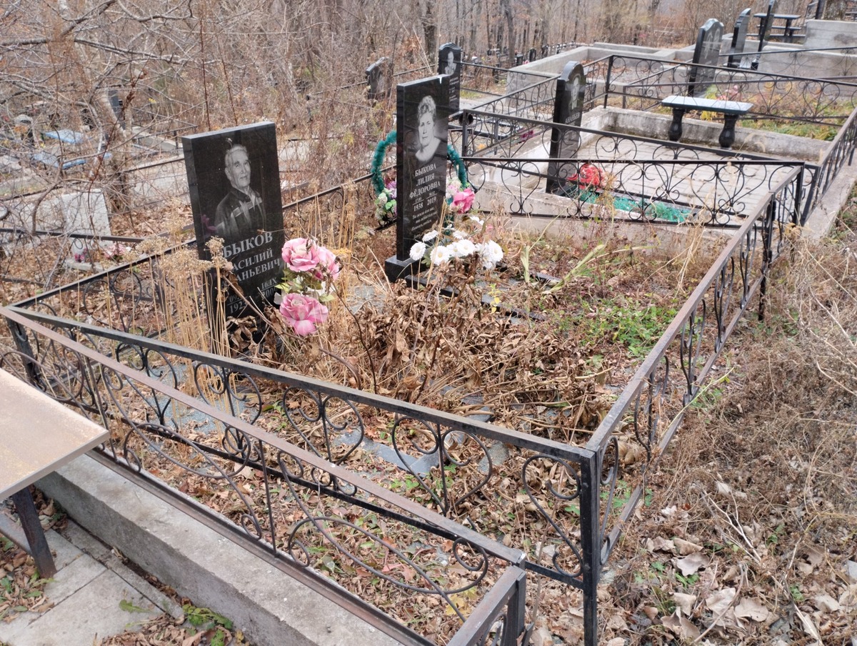 Быков Василий Ананьевич