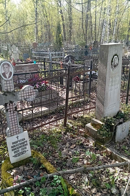 Андреева Александра Николаевна