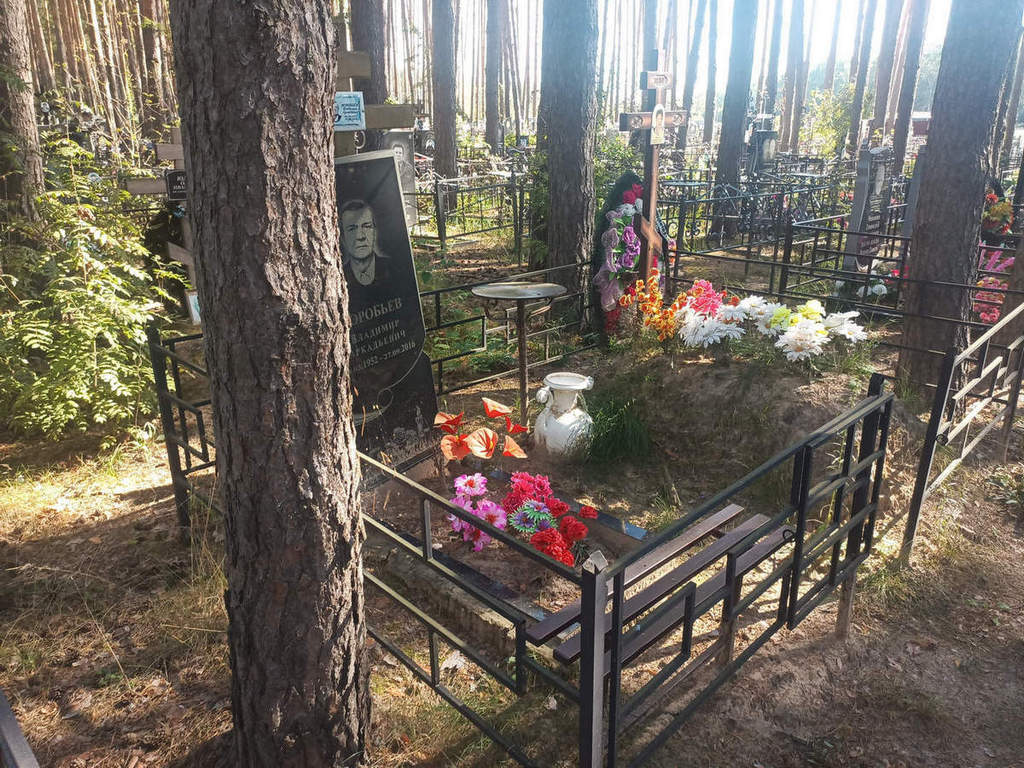 Воробьев Владимир Аркадьевич