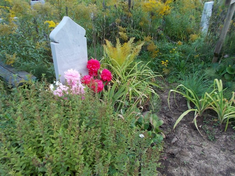 Поверинова Любовь Дмитриевна