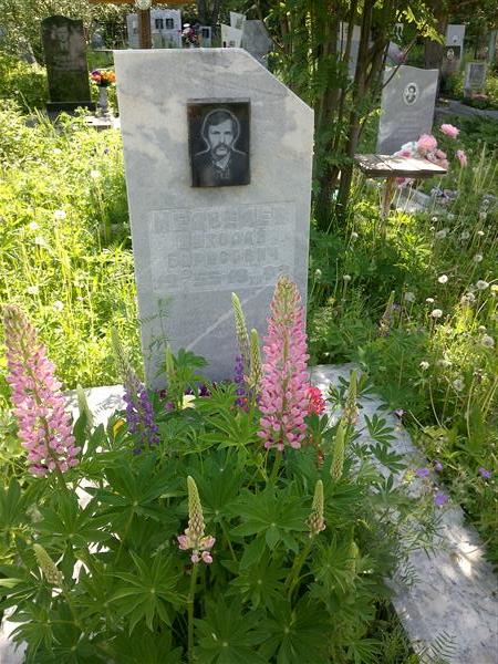 Медведев Николай Борисович