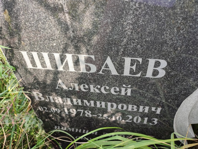 Шибаев