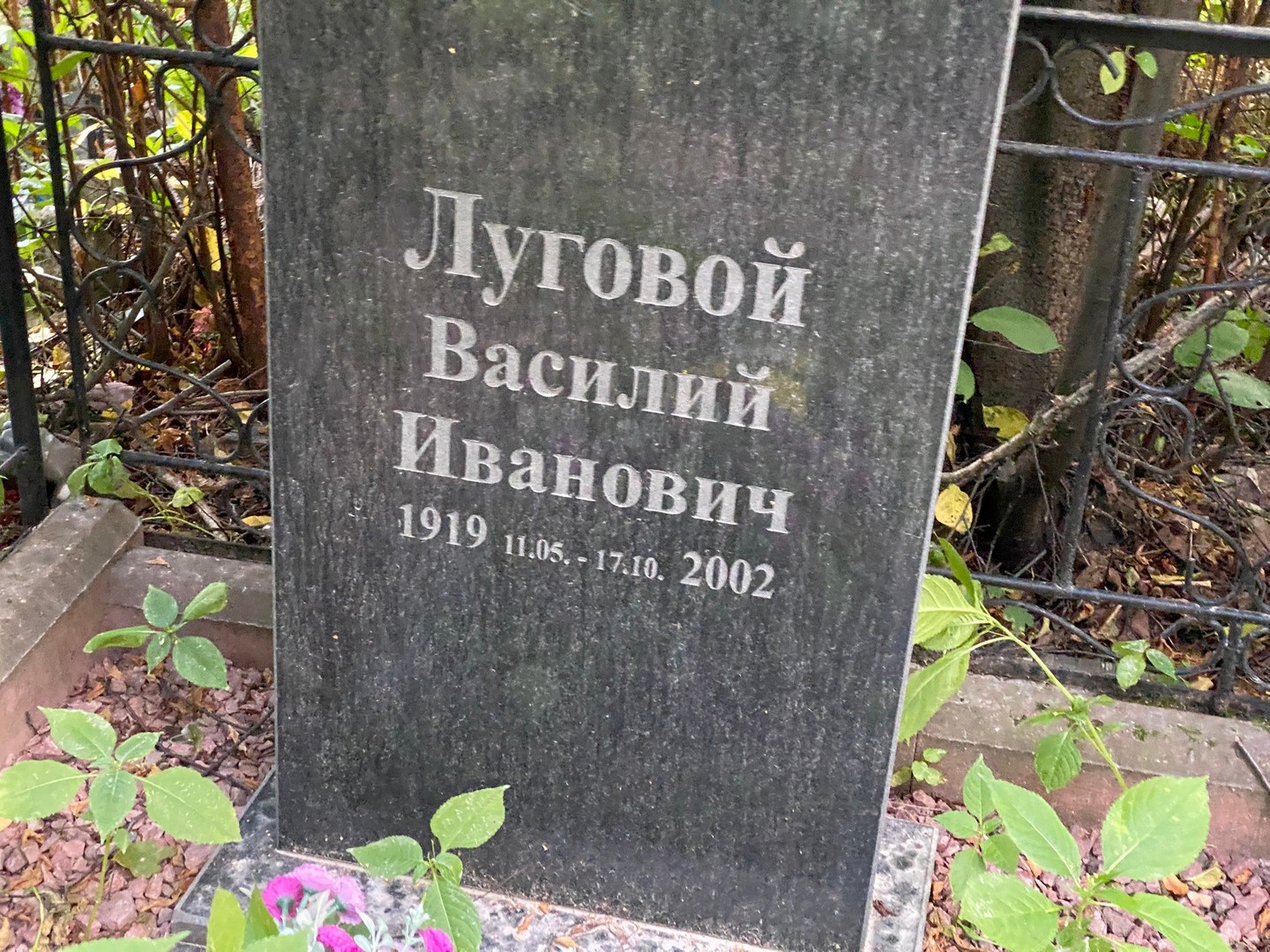 Луговой