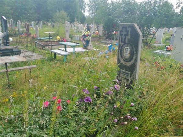 Огородников Алексей Александрович