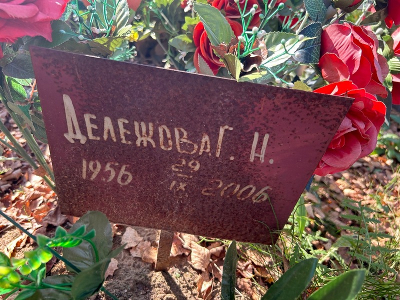 Г. Дележова Н.