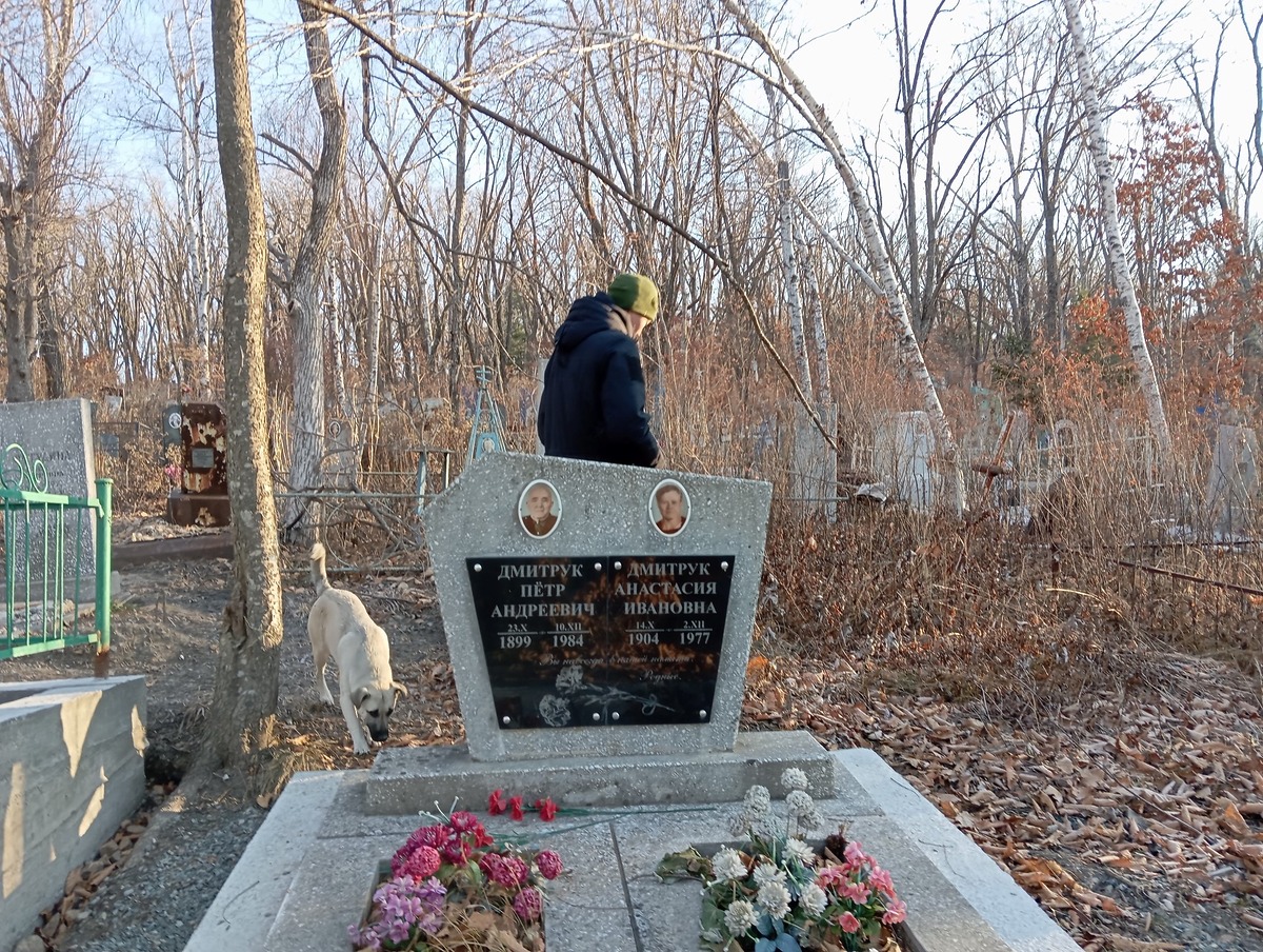 Дмитрук Анастасия Ивановна