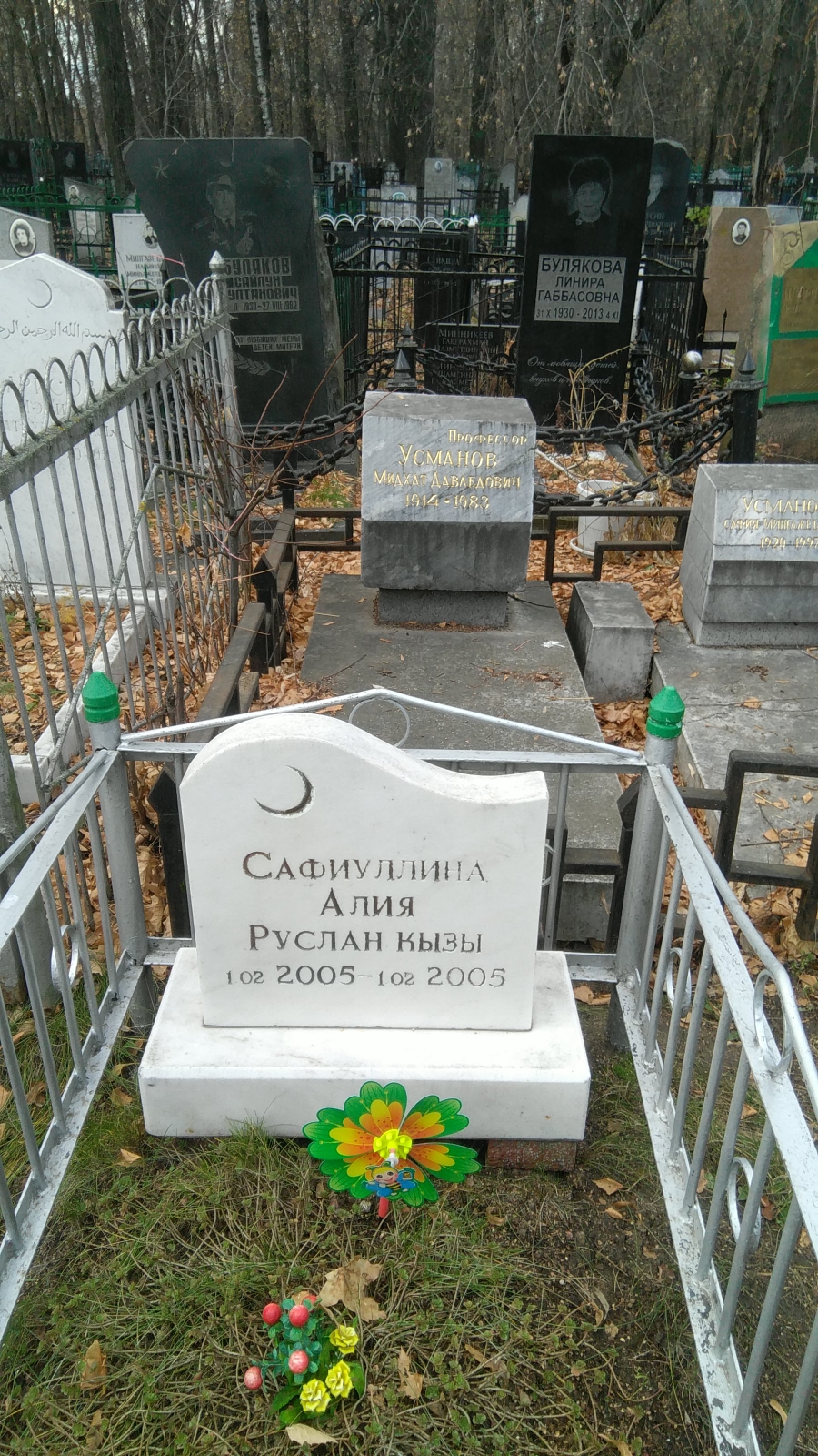 Сафиуллина Алия Руслан